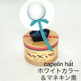 maxim ミニチュア コレクション