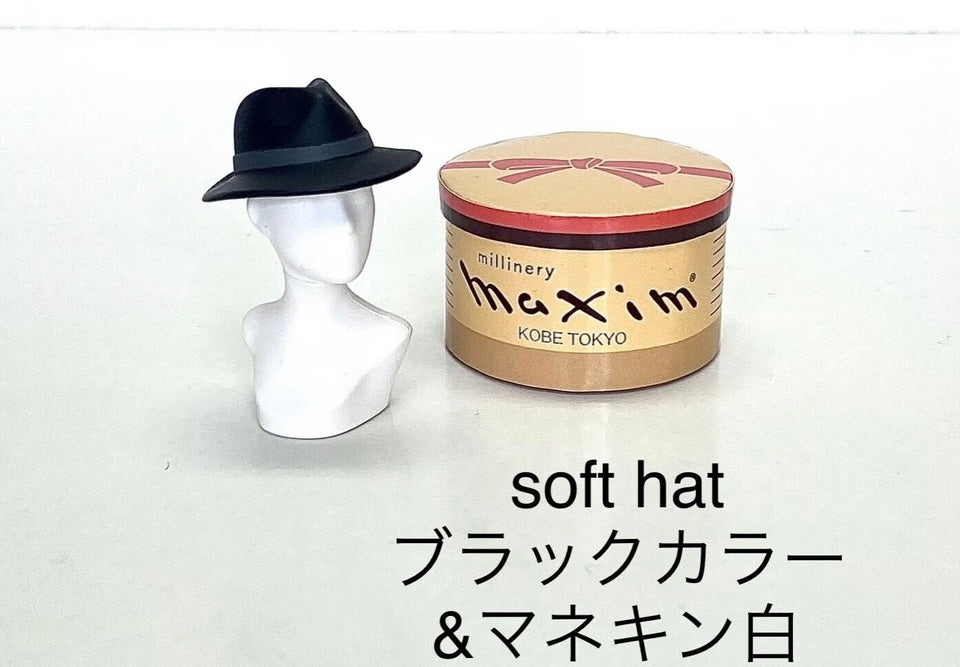 maxim  ミニチュア　コレクション