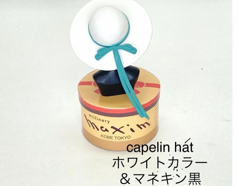 【マキシン監修カプセルトイ】maximミニチュアコレクション